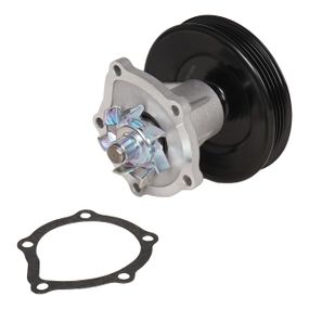 Помпа Chevrolet Aveo T250 (06-), Aveo T255 (08-), Spark (09-), Aveo T300 (11-) Daewoo Matiz (05-),Gentra (05-)