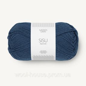Шкарпеткова пряжа Sandnes Garn Sisu 50 г, 6062