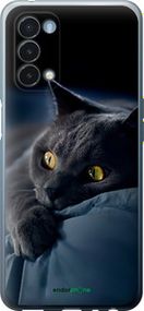 Чохол на OnePlus Nord N200 5G Димчастий кіт "825u-2956-2448"