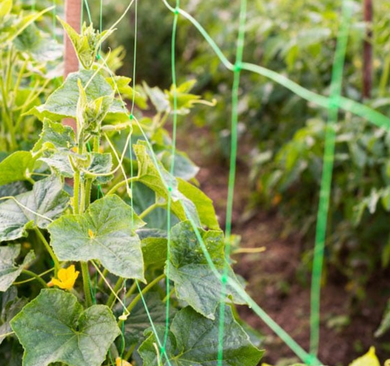 Огуречная сетка 15*18  1.70*10 метров Агрокремень | Зображення 3