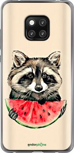 Чохол на Huawei Mate 20 Pro Єнотик з кавуном "4605t-1567-2448"