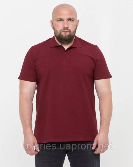Чоловіча футболка Polo Поло великого розміру, чоловіча футболка поло з коміром