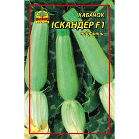 Насіння кабачка Іскандер F1 5 шт. (Seminis)