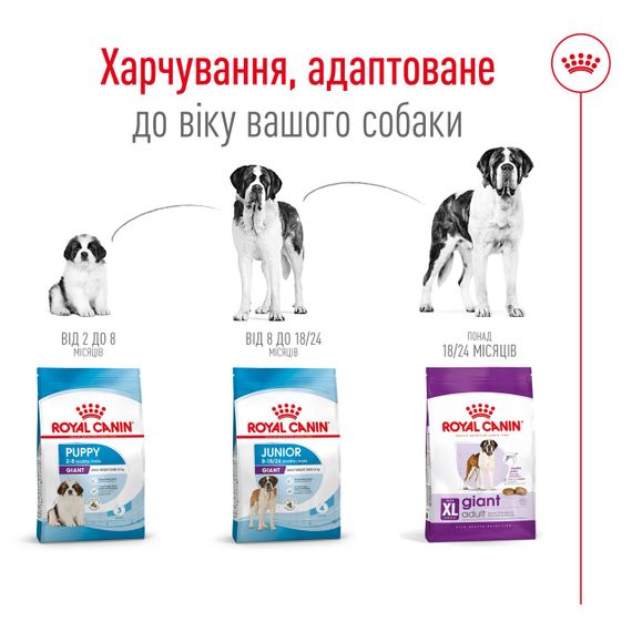 Корм Royal Canin Giant Adult сухой для взрослых собак гигантских пород 4 кг | Зображення 5