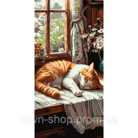 Картина по номерам "Рыжий котик" LW5163, 40х80 см