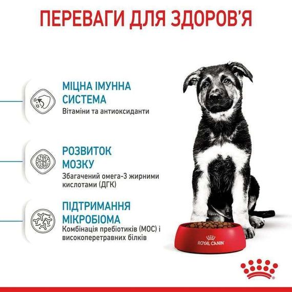 Сухий корм Royal Canin MAXI PUPPY для цуценят собак великих порід 1 кг | Зображення 4