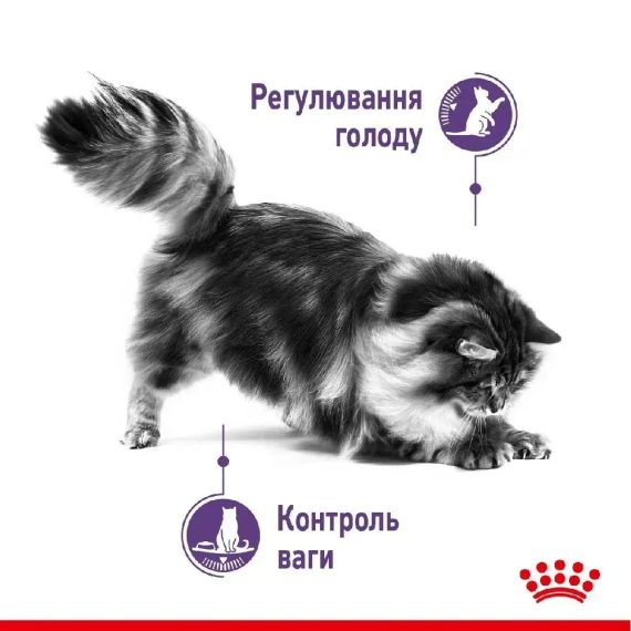 Корм для дорослих котів ROYAL CANIN APPETITE CONTROL CARE 2.0 кг | Зображення 1