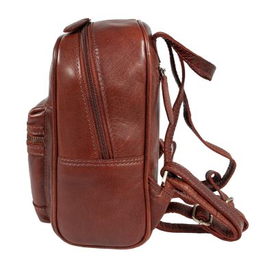 Рюкзак туристический Ashwood T87 Chestnut | Зображення 4