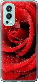 Чехол на OnePlus Nord 2 Красная роза "529u-2468-17620"