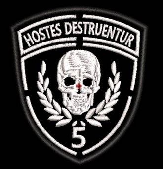 Шеврон 5 Бат 125 ОБр