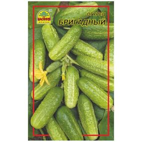 Насіння огірка Бригадний 0,5 г (Насіння країни)
