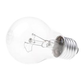 Лампа розжарювання 100W E27 WW A55 CL 220V