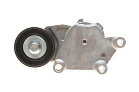 Натяжник ременя генератора Citroen Peugeot Ford 1.4HDi 1.6TDCi 01- 110022