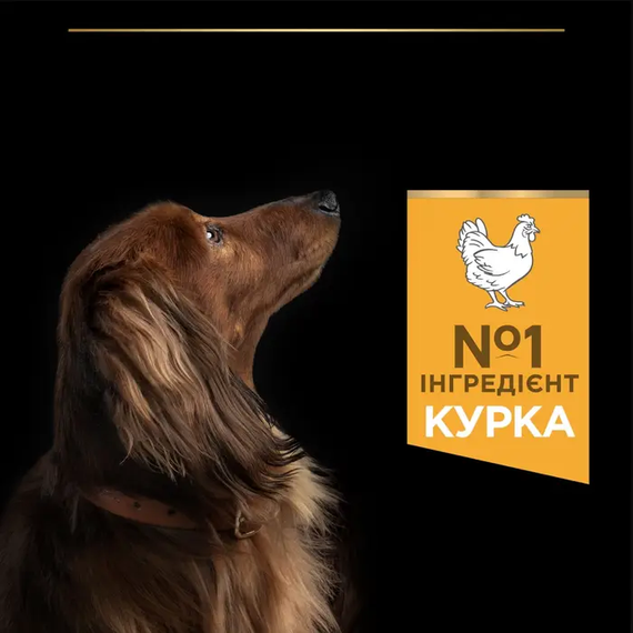 Сухий корм Purina PRO PLAN Small&MiniAdult Everyday Nutrition для дорослих собак дрібних порід, курка 700г | Зображення 4