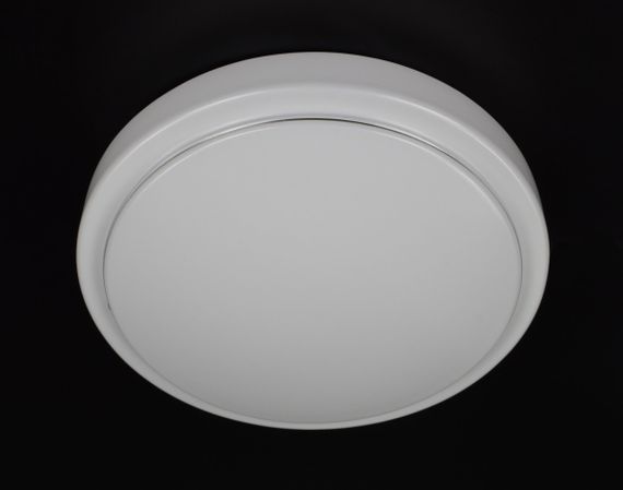 Сучасний круглий світильник стельовий LED для кімнати кухні ванної 26566 Білий 8х26х26 см.