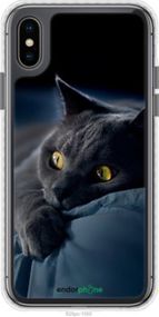 Чохол на iPhone XS Димчастий кіт "825pc-1583-2448"