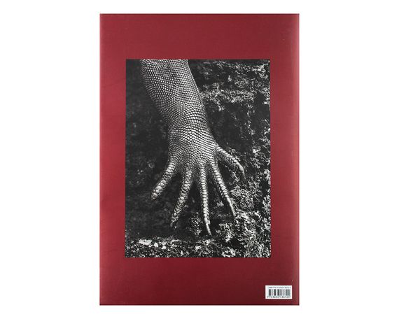 Подарункові книги для фотографів Sebastiao Salgado. Genesis альбоми відомих фотографів Себастьян Сальгадо | Зображення 8