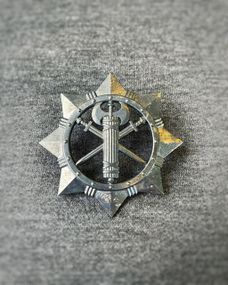 Беретный знак ВСП металл