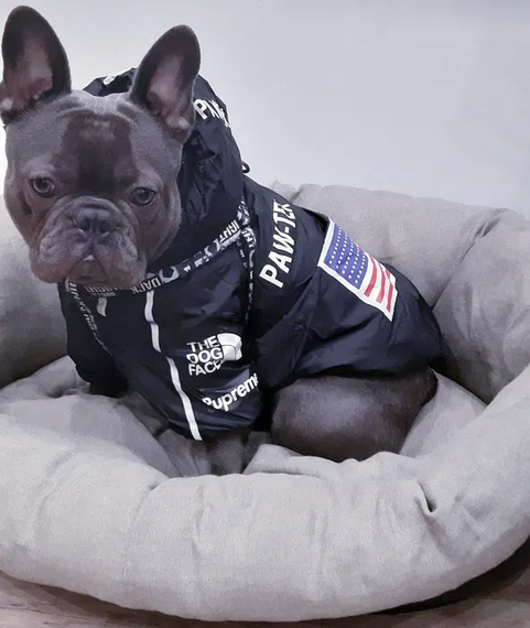 Куртка ветровка з тонкою підкладкою водонепроникна the dog face для собак чорна S розмір | Зображення 3