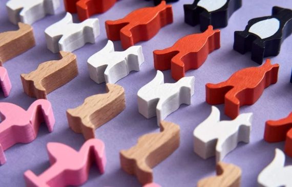 Настільна гра Зоопарк Нью-Йорка (New York Zoo) | Зображення 4