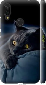 Чохол на Xiaomi Redmi 7 Димчастий кіт "825m-1669-2448"