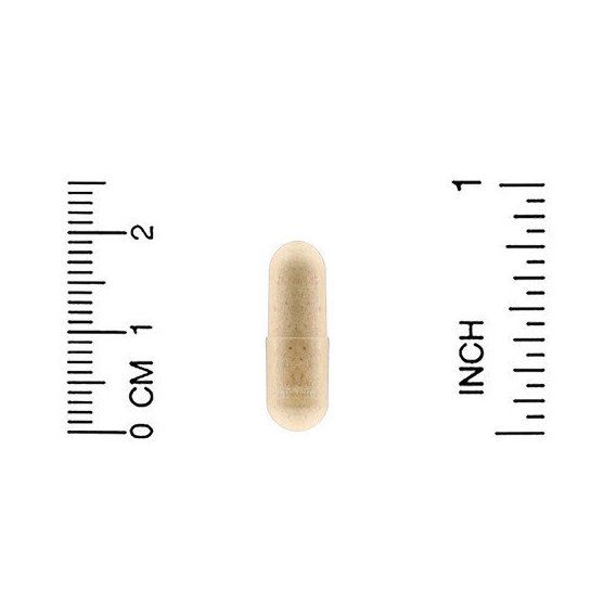 Соєвий екстракт Natrol Soy Isoflavones 50 mg 120 Caps NTL-03013 | Зображення 2