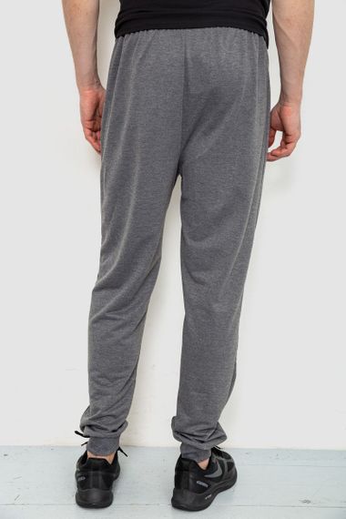 Спорт чоловічі штани 244R41153, колір сірий, 244R4770 | Зображення 3