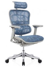 Кресло компьютерное ERGOHUMAN Plus Luxury (EHPL-AG-HAM-ZB5) Blue