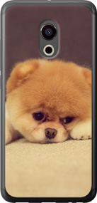 Чехол на Meizu Pro 6 Boo 2 "890u-293-17620"