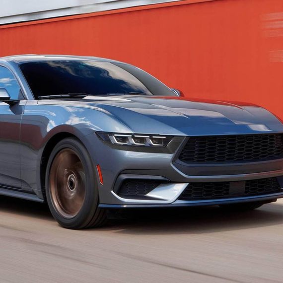 Накладки на протитуманки (Карбон) для Ford Mustang 2024- рр | Зображення 1