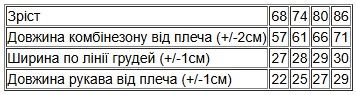 Комбінезон ясельний для хлопчика Носи своє 74 Темно-блакитний (p-9021-185090) | Зображення 3