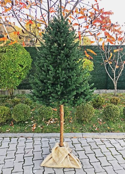 Искусственная литая ёлка Traditional зелёная 220 см с натуральным деревянным стволом | Зображення 2