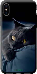 Чохол на iPhone XS Димчастий кіт "825b-1583-2448"