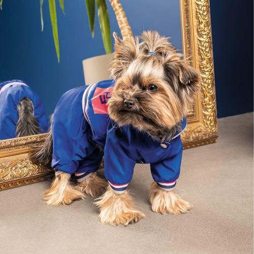 Дощовик Pet Fashion «Silver» для собак, розмір XS-2, синій | Зображення 2
