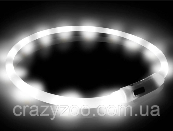 Ошейник для собак LED светящийся белый 50 см 6642 | Зображення 2