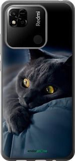 Чохол на Xiaomi Redmi 10A Димчастий кіт "825t-2578-2448"