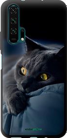 Чохол на Huawei Honor 20 Pro Димчастий кіт "825b-1702-2448"