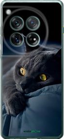 Чохол на OnePlus 12 5G Димчастий кіт "825u-3615-2448"