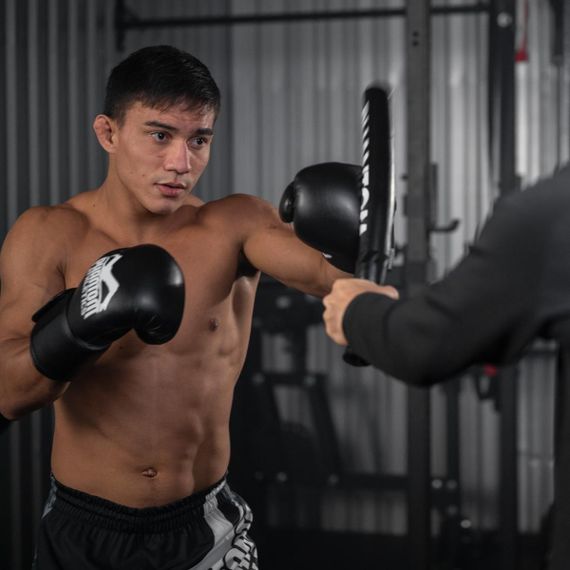 Палиці для боксу (лападани тренерські) Phantom Boxing Sticks | Зображення 6