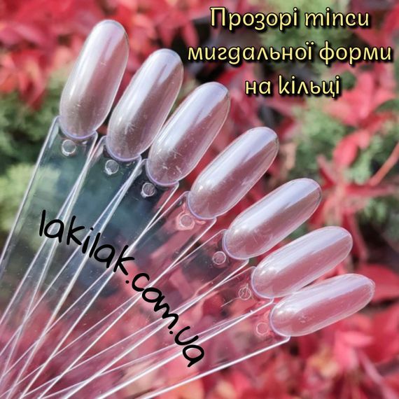 Типсы миндаль на кольце (50шт) прозрачные