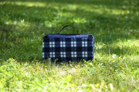 Плед Ardesto Picnic 130х170см, 100% поліестер, клітинка синій (ART0916BC) | Зображення 4