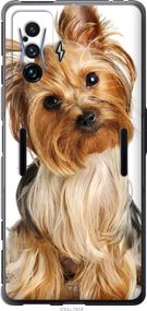 Чехол на Xiaomi Poco F4 GT Йоркширский терьер с хвостиком "930u-2958-17620"