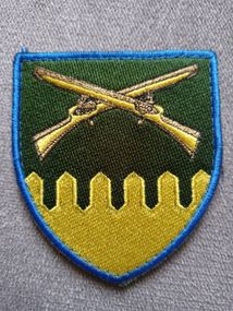 Шеврон 92 отдельная механизированная бригада (цветной)