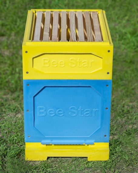 Улей ППУ «BeeStar» 8 рамок Дадан+магазин или 12 Украинских рамок — цветной | Зображення 4