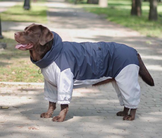 Дощовик для великих собак синiй з сiрим MB-2