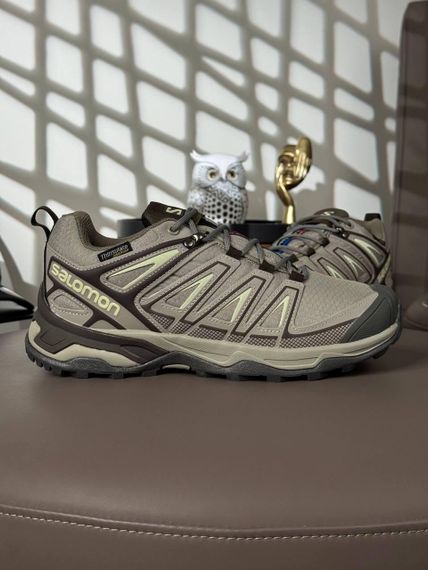 Кроссовки  мужские Salomon Speed Cross Pro GTX Thinsulate Beige Brown весна / осень A4554 42