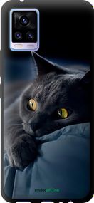 Чохол на Vivo V20 Димчастий кіт "825b-2127-2448"