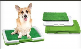 Туалет для собак с газоном Puppy Potty Pets 45688 45*30см