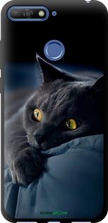 Чохол на Huawei Y6 Prime 2018 Димчастий кіт "825b-1441-2448"