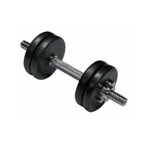 Гантель складальна лита 1шт 10 кг TI-968-747